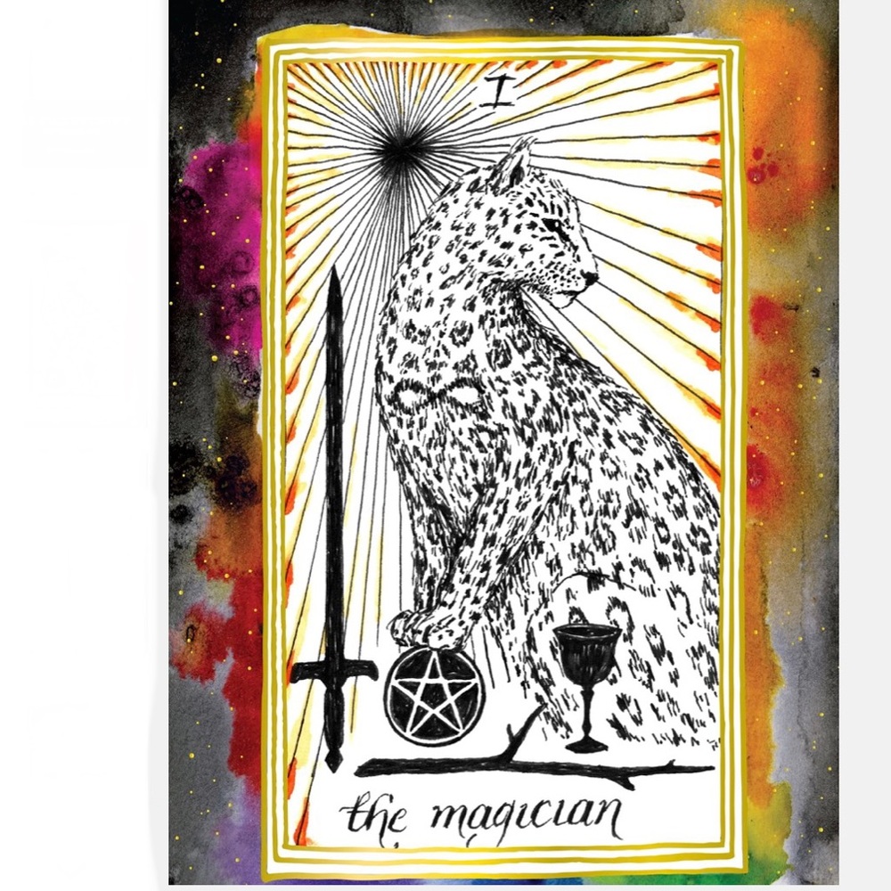 🐆The Wild✨Unknown Notebook Set🦉 - Picture 3 of 8